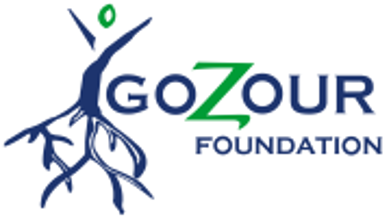 Gozor Foundation for Development